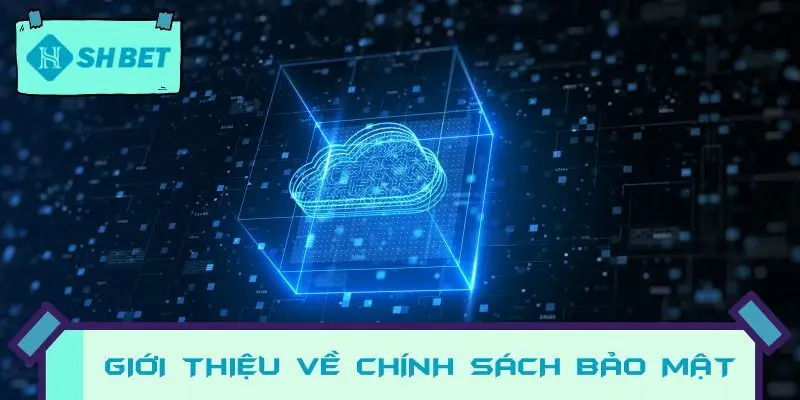Giới thiệu về Chính sách bảo mật