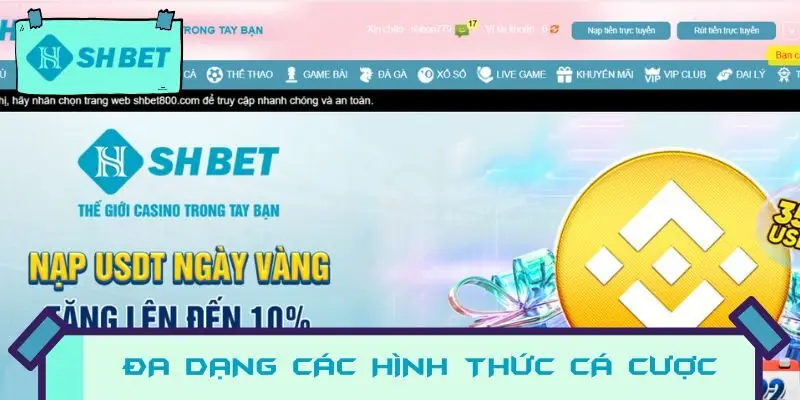 Lựa chọn phiên bản phù hợp tùy thuộc vào thiết bị của bạn, nhưng cả hai đều mang lại trải nghiệm tối ưu nhất.